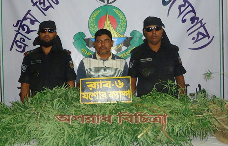 অভিনব কৌশলে বাড়ির ছাদে গাঁজা চাষ