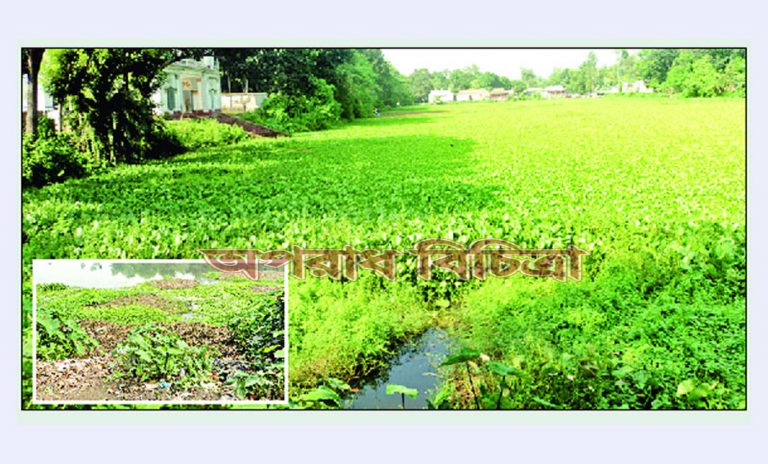 ময়লা-আর্বজনা আর কচুরিপানায় ভরে যাচ্ছে শতাধিক বছরের পুরনো দিঘি