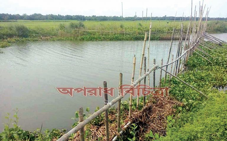 বন্ধ হচ্ছে না রেণুপোনা নিধন