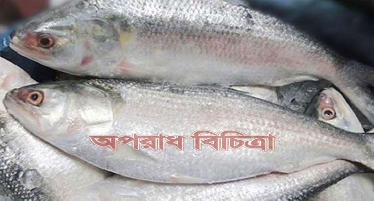 ইলিশ ধরা ও বিক্রি করা নিষিদ্ধ তাই বাজারে অন্য মাছের দাম বাড়তি