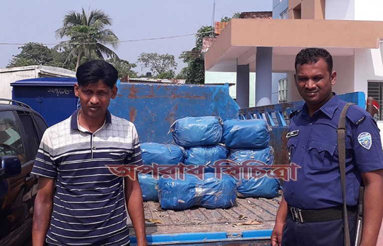 ৬০ কেজি গাঁজাসহ পিকআপ ভ্যান আটক