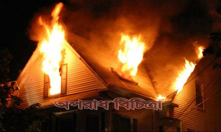 মাকড়সা নয় মুহূর্তে পুড়ে গেল পুরো বাড়িটিই