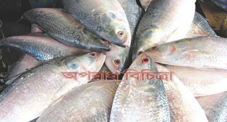 ইলিশ মাছ ধরা বন্ধ রাখার কারণে চলতি বছরে ৪২ হাজার কোটি ডিম দেবার সম্ভাবনা আছে