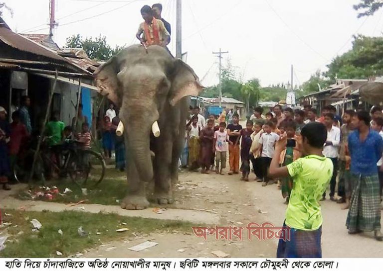 হাতি দিয়ে চাঁদাবাজি!