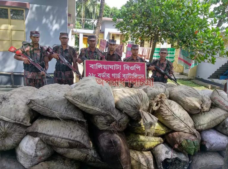 সুনামগঞ্জে আবারো ১০টন চোরাই কয়লা আটক করেছে বিজিবি