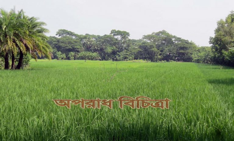 দুই যুগ পর কৃষকের মুখে হাসি