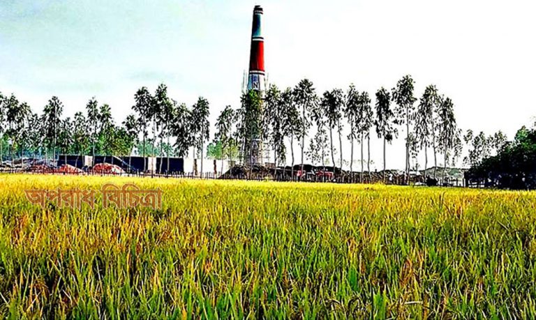 কৃষি জমিতে অবৈধ ভাবে গড়ে তোলা হচ্ছে এনবি ইটভাটা