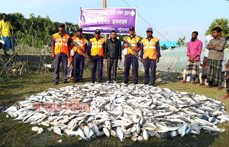 কোষ্টগার্ডের অভিযানে জাটকা জব্দ