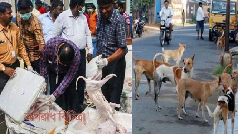 ১১০০ কেজি কুকুরের মাংস উদ্ধার