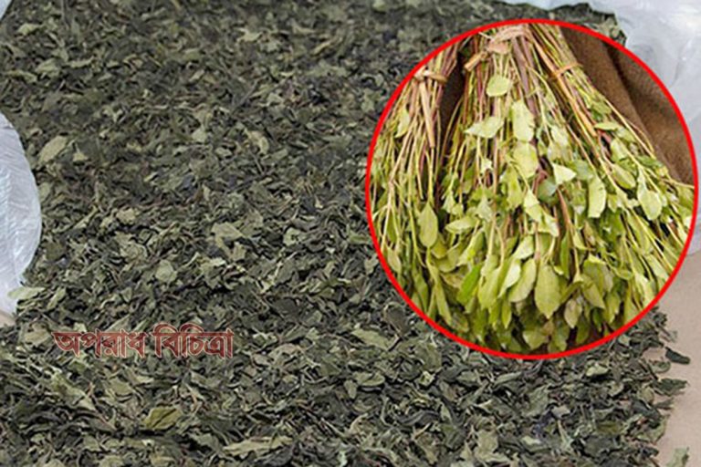 ফের ৯৮৫ কেজি খাট মাদক জব্দ