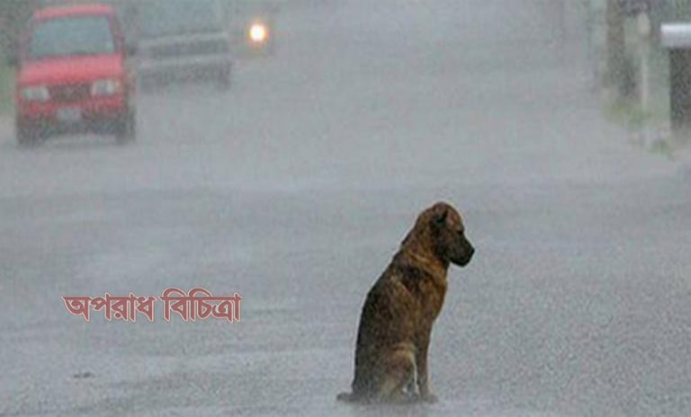 মালিকের অপেক্ষায় ৮০ দিন