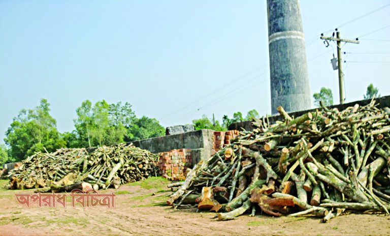 ইটভাটা গুলো গিলে খাচ্ছে ফসলি জমি ও বন