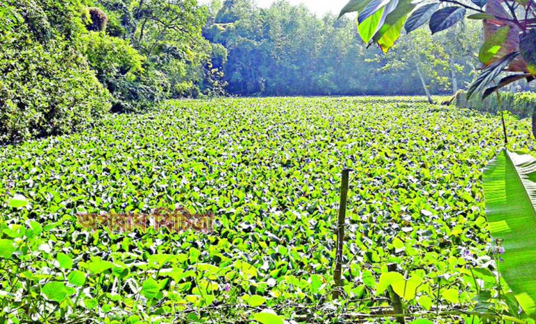 সকল প্রকার সুযোগ সুবিধা থাকা সত্বেও তবু ভূমিহীন সেজে খাসজমি বন্দোবস্ত