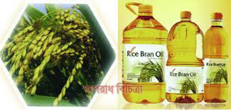 বিদেশযাত্রা নতুন সম্ভাবনার দাঁড় খুলল দেশে উৎপাদিত কুঁড়ার তেল