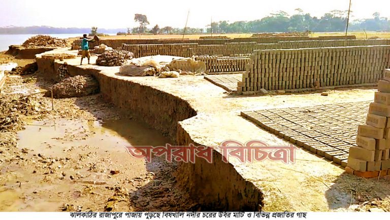 রাজাপুরে পাজায় পুড়ছে বিষখালি নদীর চরের উর্বর মাটি ও বিভিন্ন প্রজাতির গাছ