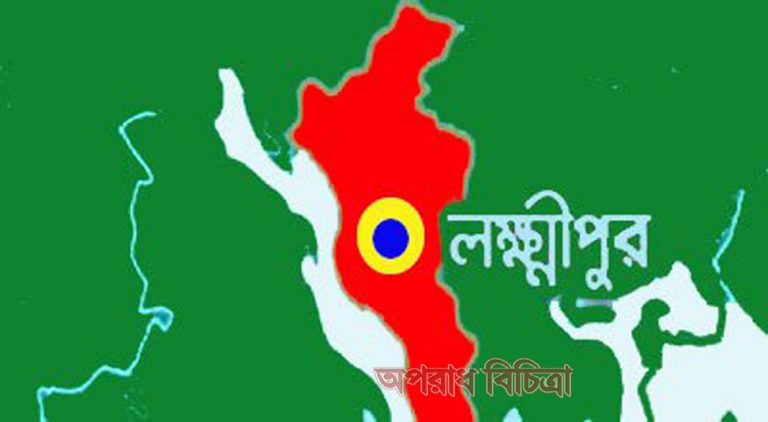 লক্ষ্মীপুরের মেঘনা নদী থেকে ১৫ জলদস্যু আটক
