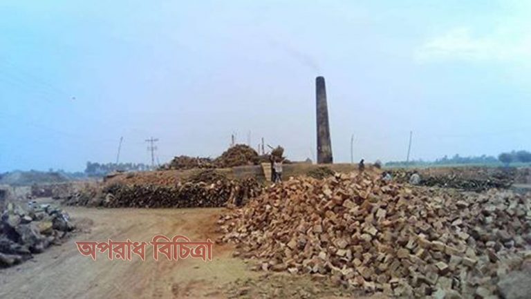 ইট ভাটাগুলোতে অবাধে পোড়ানো হচ্ছে কাঠ, বিপন্ন হচ্ছে পরিবেশ