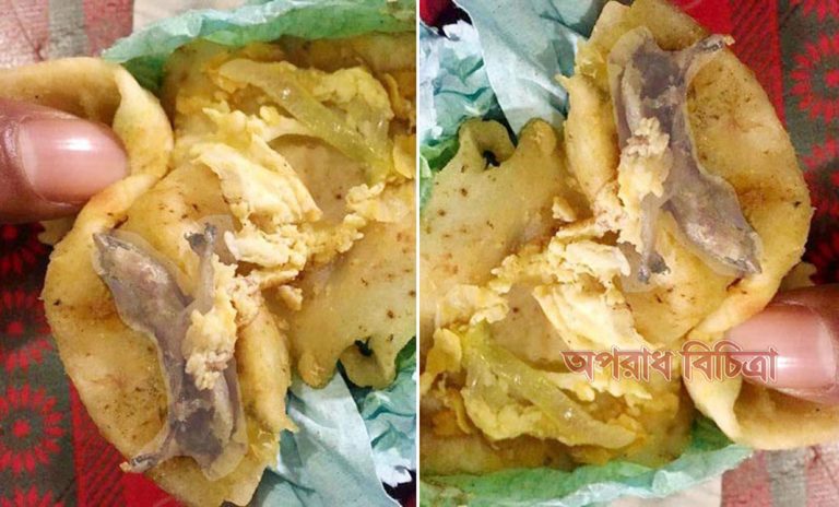 সিঙাড়ার ভেতর মিললো সেদ্ধ করা টিকটিকি