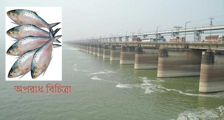 পানি দেয়ার ইচ্ছা থাকুক আর নাই থাকুক ইলিশ পাওয়ার ইচ্ছাটা তাদের রয়েছে শতভাগ