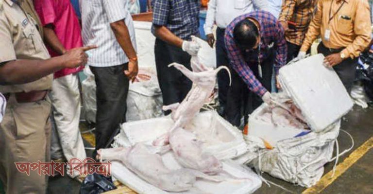 ১১টি প্যাকেট থেকে উদ্ধার করা হলো ১১০০ কেজি কুকুরের মাংস