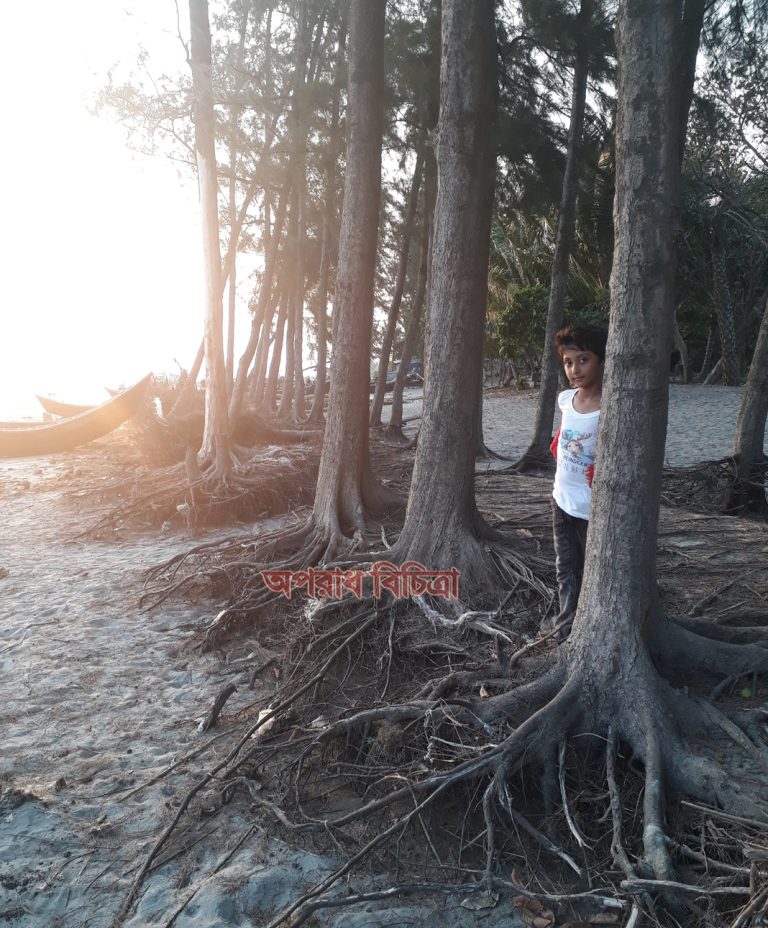 অপূর্ব সৌন্দর্যের লীলাভূমি সাগরকন্যা কুয়াকাটা, যার রূপের নাই শেষ