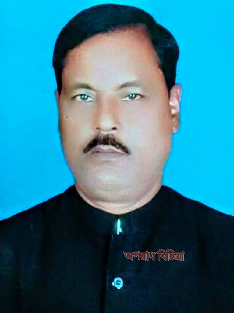 এবার আলীগের বিরুদ্ধে আলীগ সতন্ত্র হিরো আনারস প্রতিক. নৌকা প্রতিকে শফিউল  আলমের লড়াই