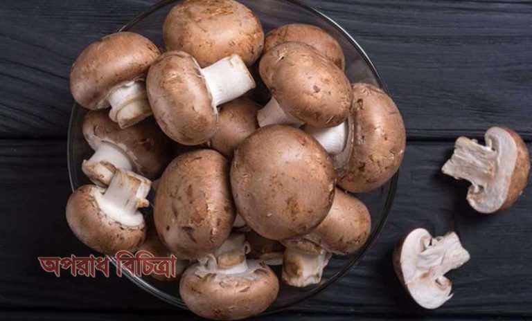 জেনে নিন বুদ্ধিবৃ্ত্তিক ক্ষমতা ক্ষয়ের ঝুঁকি কমাতে মাশরুমের উপকারিতা