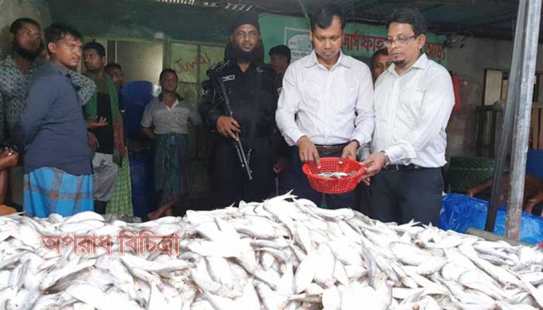 তিনটি আড়তে অভিযান চালিয়ে ১০ টন জাটকা জব্দ করে র‌্যাবের ভ্রাম্যমাণ আদালত