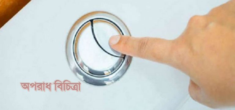 জেনে নিন টয়লেটের ফ্ল্যাশে কেন দুটি বোতাম থাকে