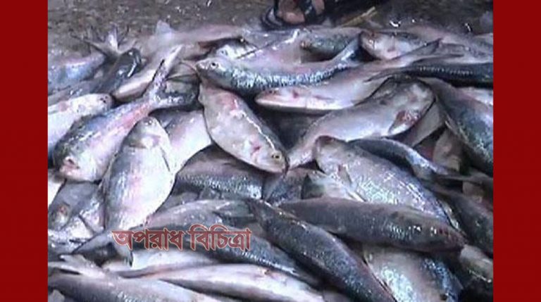 মাছ ও মাছজাত পণ্যে ফরমালিন মেশালেই জরিমানা