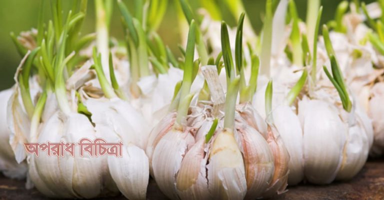 জেনে নিন খালি পেটে রসুন খাওয়ার উপকারিতা
