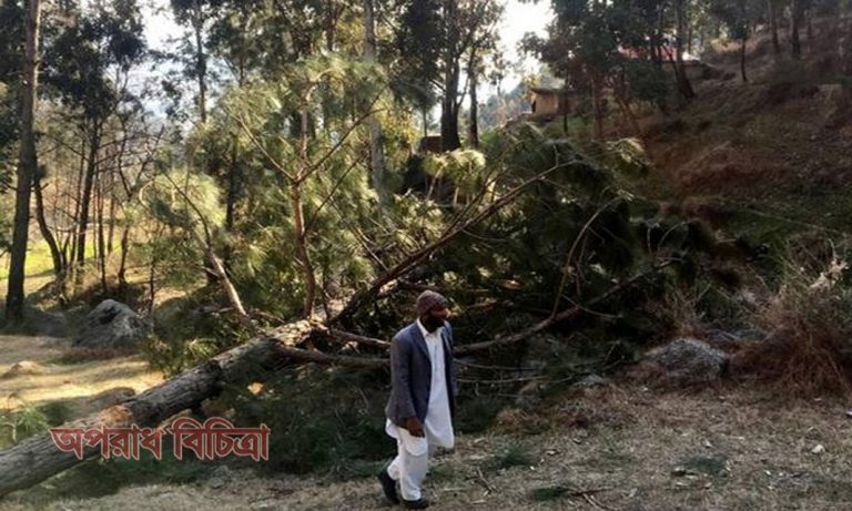 ভারত কাশ্মীরের জ্জঙ্গলে যা করেছে তা পরিবেশ সন্ত্রাসবাদ