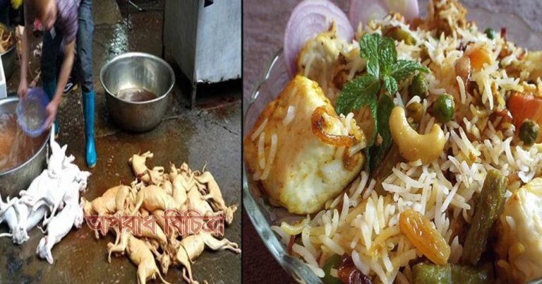 নেওয়া যাক একটু বেড়াল বিরিয়ানির মজা