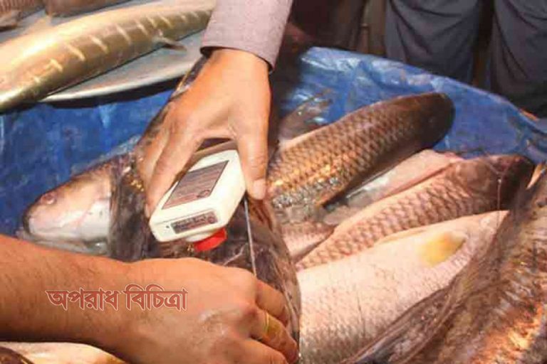 মাছে ফরমালিন মেশালে দুই বছরের জেল