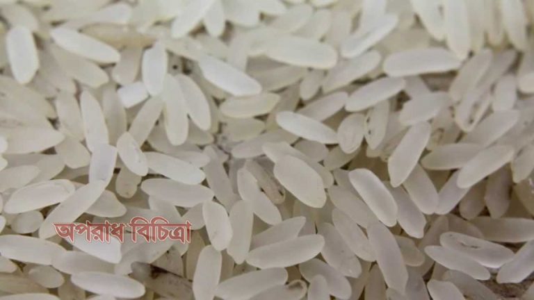 প্লাস্টিক চাল চেনার নানা উপায়