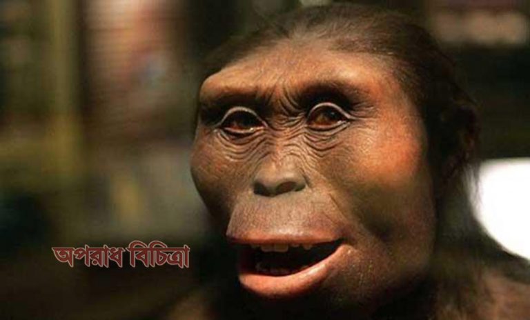 হোমো ইউজোনেনসিস নামে এক মনুষ্য প্রজাতির সন্ধান পাওয়া গেছে