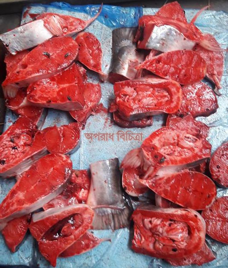 মরা পাঙ্গাসে মুগির রক্ত মিশিয়ে তাজা পাঙ্গাসের দামে বিক্রি