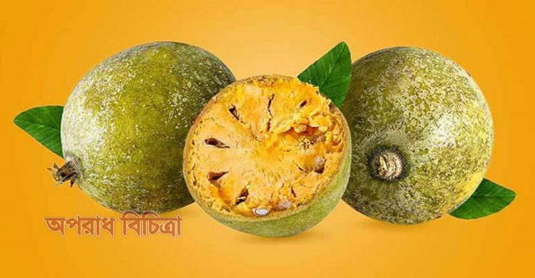 জেনে নিন বেলের যত গুন