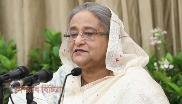 ‘ফাঁকা কথা বললে আর অপবাদ দিলে তো মেনে নেব না : প্রধানমন্ত্রী