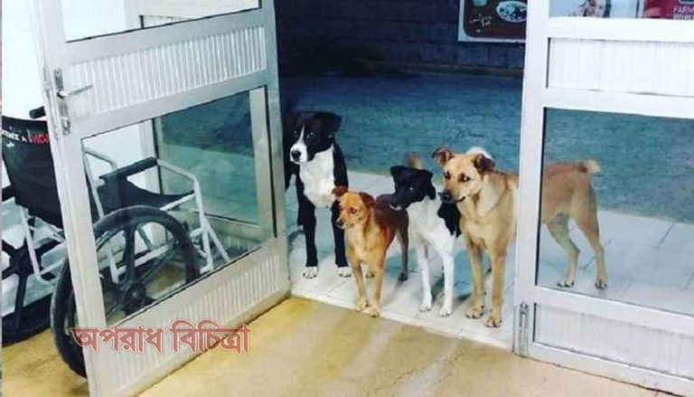 বিপদের মুহূর্তে কখনও ছেড়ে চলে যায় না