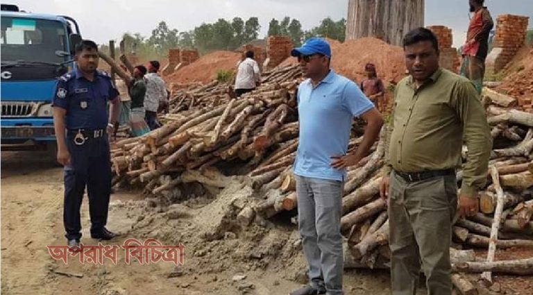 ইটভাটায় অভিযান,জরিমানা ও কাঠ জব্দ