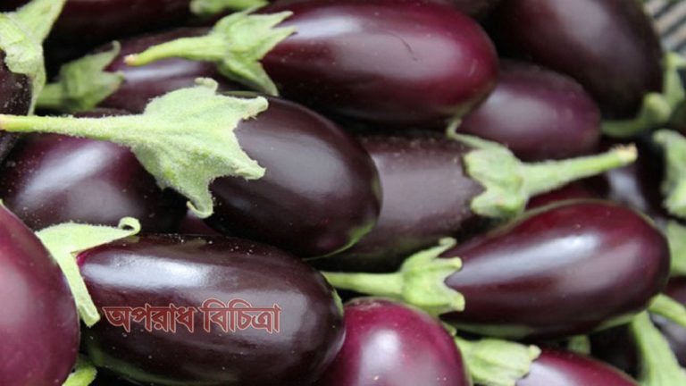 ক্যান্সার ও ডায়াবেটিস প্রতিরোধে বেগুনের গুন