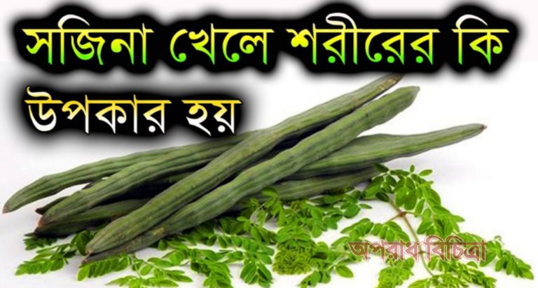 জেনে নিন সজিনার পুষ্টি গুনাগুন