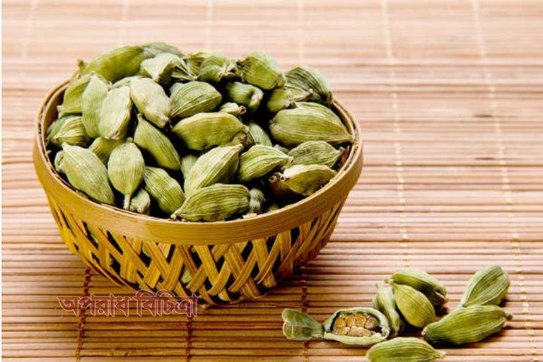 জেনে নিন  এলাচের যত গুন