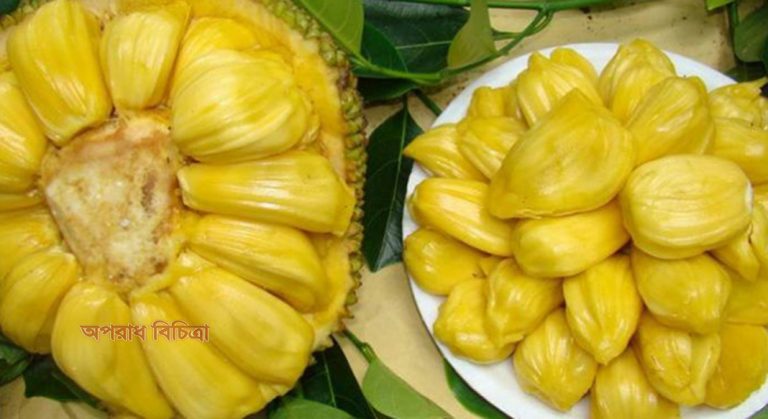 জেনে নিন, কাঁঠালের যত গুন