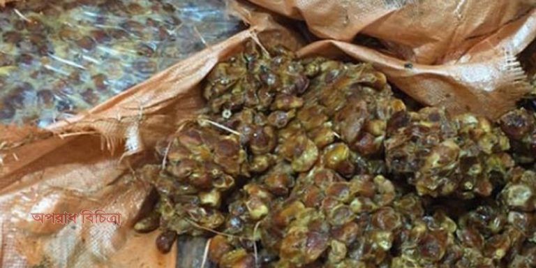 ৬ টন খেজুরই মেয়াদোত্তীর্ণ ও পঁচা