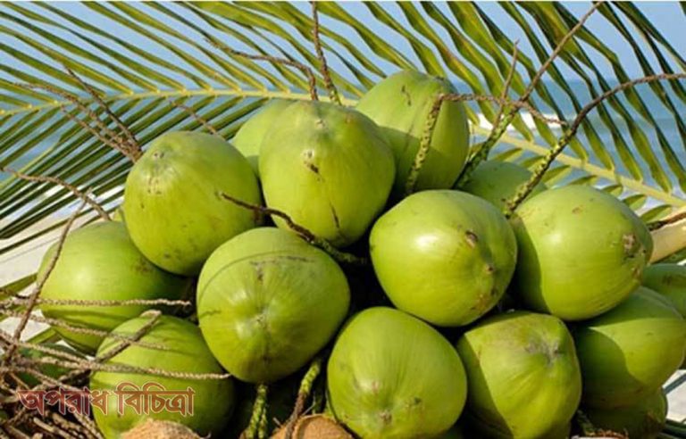 জেনে নিন ডাবের পানির যত গুন