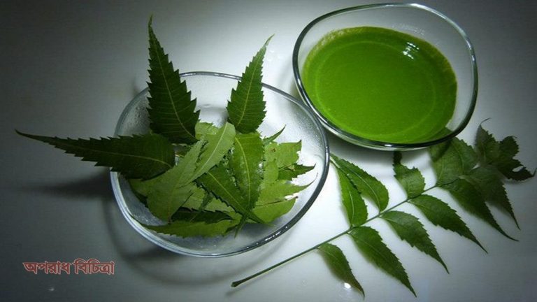 জেনে নিন ত্বক ও চুলের যত্নে নিমপাতার উপকারিতা