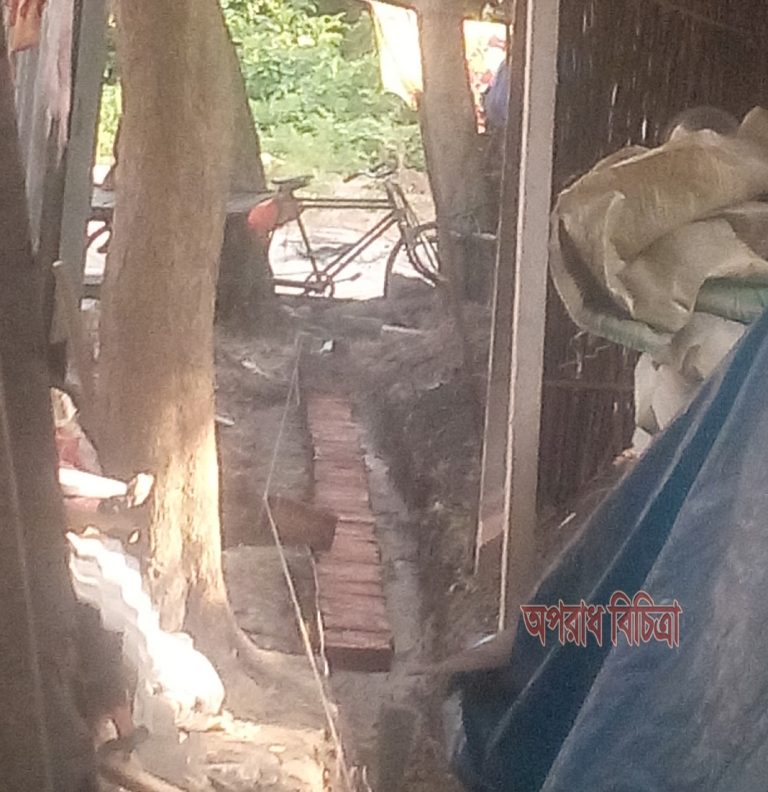 শ্রীনগরে নারী ইউপি সদস্যের বাড়ি দখল করে প্রাচীর নির্মান