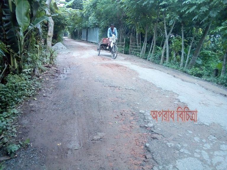 সড়কের বেহাল দশায় জনদুর্ভোগ চরমে